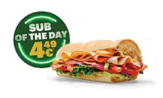 Subway Melt™