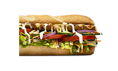 Veggie Patty