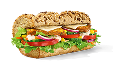 Spicy Veggie Patty